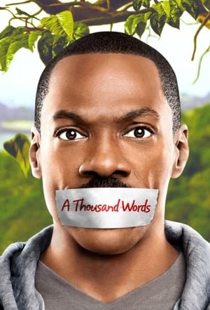 A Thousand Words (2012) Hindi Dual Audio 300MB HD Poster Download - filmyfly