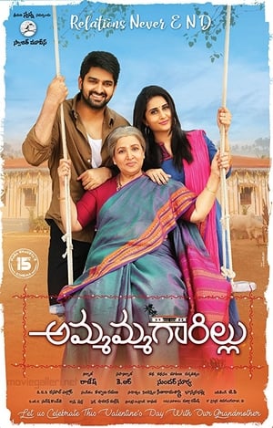 Ammammagarillu (Naani Maa) (2018) Hindi Dubbed [1.2GB] HD Poster Download - filmyfly
