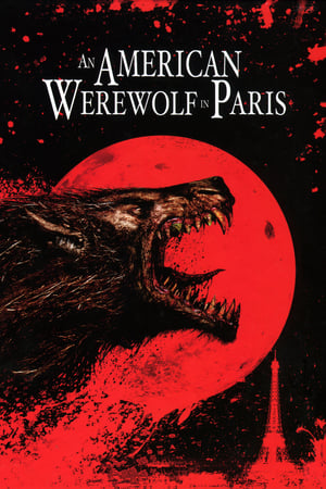 An American Werewolf in Paris 1997 Hindi Dual Audio [860MB] HD Poster Download - filmyfly