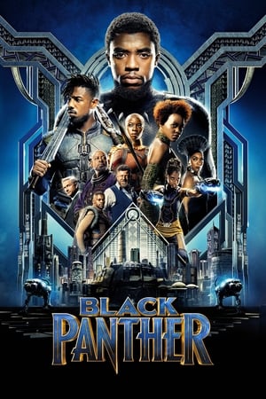 Black Panther (2018) Dual Audio Hindi Full Movie - 1.2GB HD Poster Download - filmyfly
