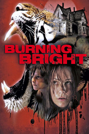 Burning Bright (2010) Hindi Dual Audio [750MB] HD Poster Download - filmyfly