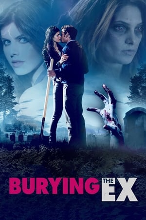Burying the Ex 2014 Hindi (HQ Dubbed) 450MB HD Poster Download - filmyfly