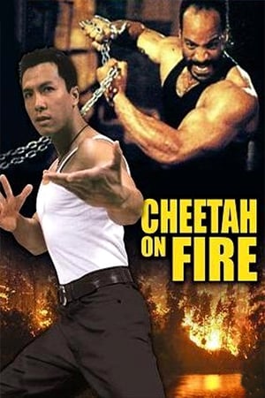 Cheetah on Fire 1992 Hindi Dual Audio 290MB HD Poster Download - filmyfly