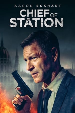 Chief of Station 2024 Hindi Dual Audio – 720p – HD Poster Download - filmyfly