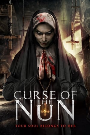 Curse of the Nun (2019) Hindi Dual Audio [800MB]