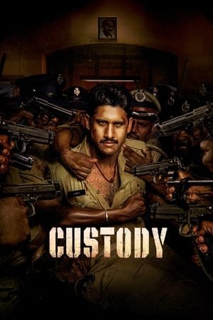 Custody 2023 Hindi (ORG) Dubbed HDTVRip – HD Poster Download - filmyfly