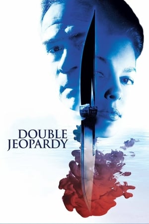 Double Jeopardy 1999 Hindi Dual Audio 350MB HD Poster Download - filmyfly
