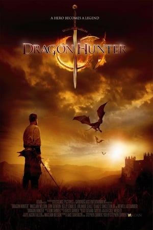 Dragon Hunter (2009) Hindi Dual Audio 300MB HD Poster Download - filmyfly