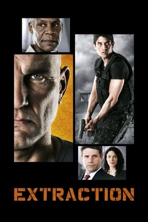 Extraction 2013 Hindi Dual Audio [1.4GB] HD Poster Download - filmyfly