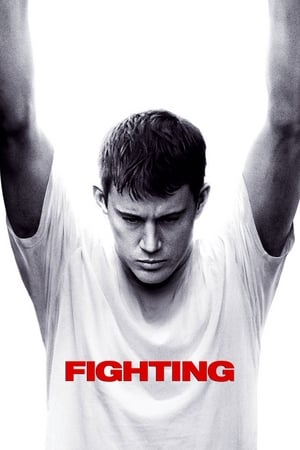 Fighting (2009) Hindi Dual Audio [1.1GB] HD Poster Download - filmyfly
