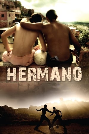 Hermano 2010 Hindi Dual Audio [1.2GB] HD Poster Download - filmyfly