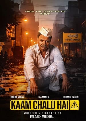 Kaam Chalu Hai 2024 Hindi – – HD Poster Download - filmyfly