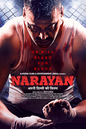 Narayan (2017) Hindi Movie [1.1GB] HD Poster Download - filmyfly