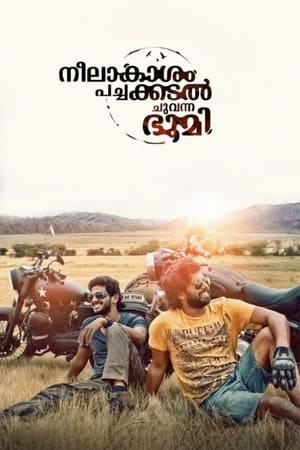 Neelakasham Pachakadal Chuvanna Bhoomi (2013) Hindi Dubbed [1.4GB] HD Poster Download - filmyfly