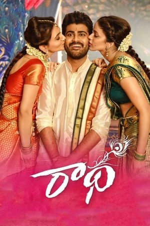 Radha 2017 Hindi Dual Audio 350MB HD Poster Download - filmyfly