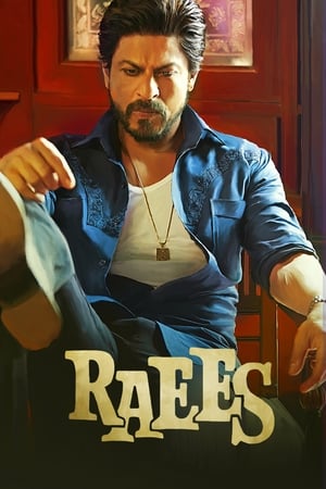 Raees (2017) Full Movie [1.0GB] Download HD Poster Download - filmyfly