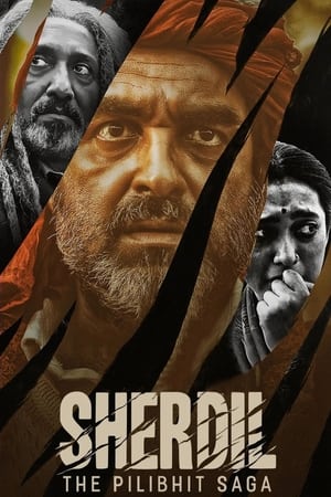 Sherdil 2022 Hindi Movie – HD Poster Download - filmyfly