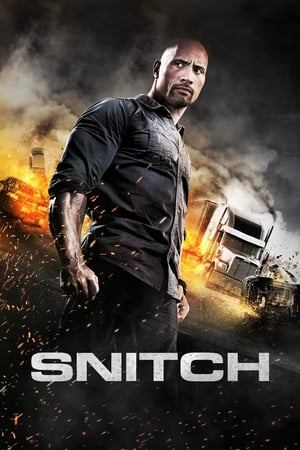 Snitch (2013) Hindi Dual Audio 350MB HD Poster Download - filmyfly