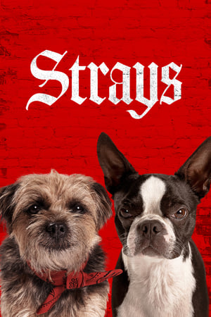 Strays (2023) Hindi Dual Audio – 480p