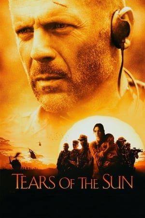 Tears of the Sun 2003 Hindi Dual Audio [970MB] HD Poster Download - filmyfly