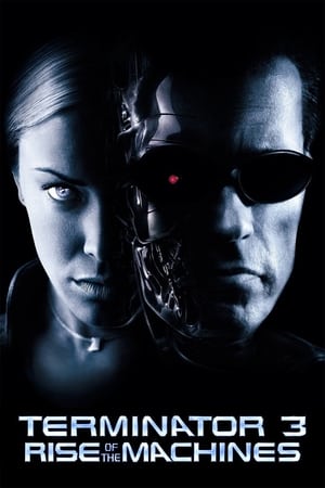Terminator 3: Rise of the Machines (2003) Hindi Dual Audio 350MB