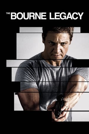 The Bourne Legacy (2012) Hindi Dual Audio [1GB] HD Poster Download - filmyfly