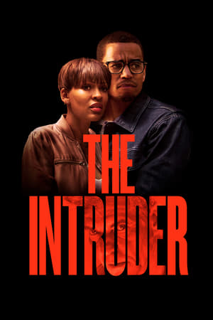 The Intruder (2019) Hindi Dual Audio 350MB HD Poster Download - filmyfly