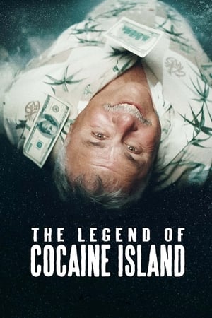 The Legend of Cocaine Island (2019) Hindi Dubbed [860MB] HD Poster Download - filmyfly