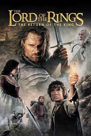 The Lord of the Rings: The Return of the King (2003) Hindi Dubbed [1.8GB] Download HD Poster Download - filmyfly