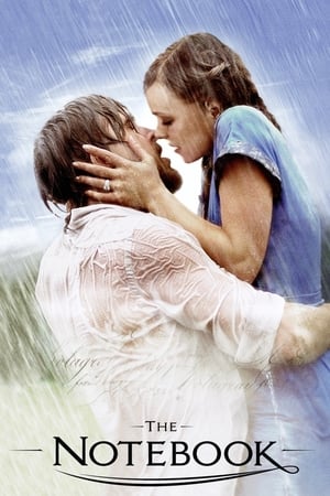 The Notebook 2004 Dual Audio Hindi 400MB HD Poster Download - filmyfly