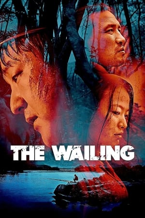 The Wailing 2016 Hindi Dual Audio 450MB HD Poster Download - filmyfly