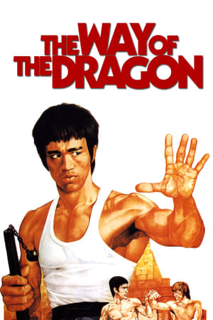 The Way of the Dragon (1972) Hindi Dual Audio 300MB HD Poster Download - filmyfly