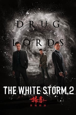 The White Storm 2: Drug Lords (2019) Hindi (Org) [950MB] HD Poster Download - filmyfly