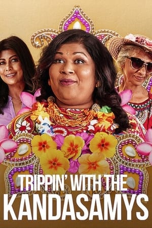 Trippin with the Kandasamys 2021 Hindi Dual Audio 300MB HD Poster Download - filmyfly