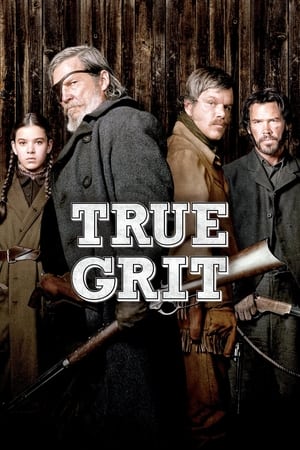 True Grit (2010) Hindi Dual Audio [950MB] HD Poster Download - filmyfly